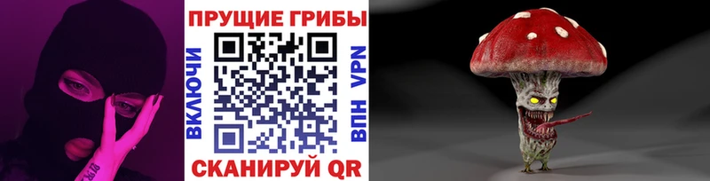 Галлюциногенные грибы Cubensis  Купить где  Миньяр 